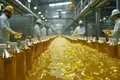 Olive Oil Production Plant - €10 Million. Annual profitability exceeding 15%!