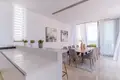 Maison 3 chambres 300 m² Pano Arodes, Chypre