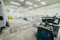 Manufacture 220 m² in Minsk, Belarus