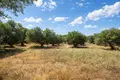 Parcelas 15 000 m² Kassandrino, Grecia
