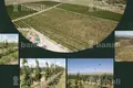 Commercial property 36 000 m² in Mrgashen, Armenia