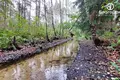 Дом 64 м² Рубежевичский сельский Совет, Беларусь