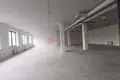 Commercial property 750 m² in Minsk, Belarus