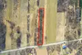Land 1 room 2 303 m² Kepa Kielpinska, Poland