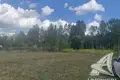 Land  Radvanicki sielski Saviet, Belarus