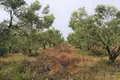 Land 1 room  Nikiti, Greece