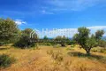 Land 6 000 m² Vatopedi, Greece
