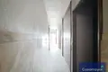 Apartamento 355 m² Alicante, Španjolska