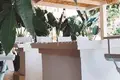 Готовый бизнес  Арона, Испания