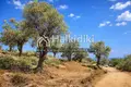 Land 14 521 m² Ammouliane, Greece