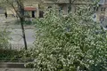 Pokój 1 pokój 38 m² Odessa, Ukraina