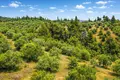 Land 9 312 m² Neos Marmaras, Greece