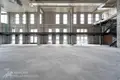 Commercial property 1 639 m² in Minsk, Belarus