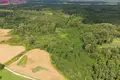 Grundstück  Barzdziunai, Litauen