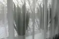 1 room apartment 36 m² Minsk, Belarus