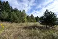 Land  Haradzishcha, Belarus