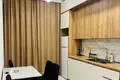 1 bedroom rent in Ortachala