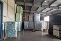 Warehouse 11 213 m² in Domodedovsky District, Russia