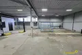 Nieruchomości komercyjne 3 pokoi 222 m² w Mińsk, Białoruś