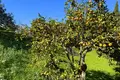 6 bedroom house 658 m² Casares, Spain