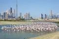 Wohnung 1 zimmer 95 m² Dubai, Vereinigte Arabische Emirate
