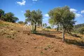 Land 5 324 m² Paliouri, Greece