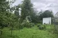 Дом  Беларучский сельский Совет, Беларусь