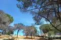 Atterrir 6 851 m² Loule, Portugal