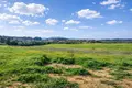 Land 11 817 m² Megali Panagia, Greece