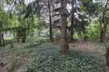 Grundstück 1 zimmer 1 085 m² Pruszkow, Polen