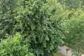 Квартира 3 комнаты 72 м² Минск, Беларусь