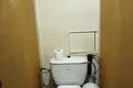 Apartamento 1 habitación 33 m² Ludvinova, Belarús