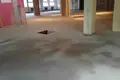 Office 542 m² in Moscow, Russia