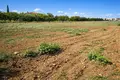 Parcelas 8 866 m² Neos Marmaras, Grecia