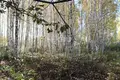 Atterrir 1 300 m² gorodskoj okrug Bor, Russie