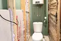 House 50 m² Smilavicki sielski Saviet, Belarus