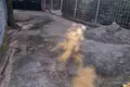 Dom 1 pokój 25 m² Kunje, Czarnogóra