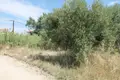 Земельные участки 1 комната  Полихроно, Греция