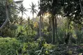 3 bedroom apartment 210 m² Bedulu, Indonesia