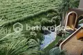 2 bedroom Villa  Pererenan, Indonesia