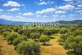 Parcelas 9 312 m² Agios Nikolaos, Grecia