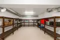 Shop 609 m² in Peyia, Cyprus