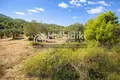 Parcelas 12 086 m² Municipality of Sithonia, Grecia