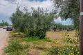 Grundstück 2 800 m² Nea Flogita, Griechenland