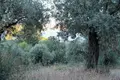 Atterrir 1 chambre  Aristotle Municipality, Grèce