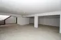 Магазин 460 м² Чифтликкёй, Турция