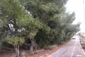 Land  Murcia, Spain