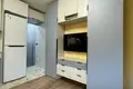1 room apartment 20 m² Fanipal, Belarus