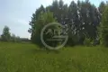 Land  Nikonovskoye, Russia