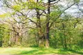 Działki  Smolice, Polska